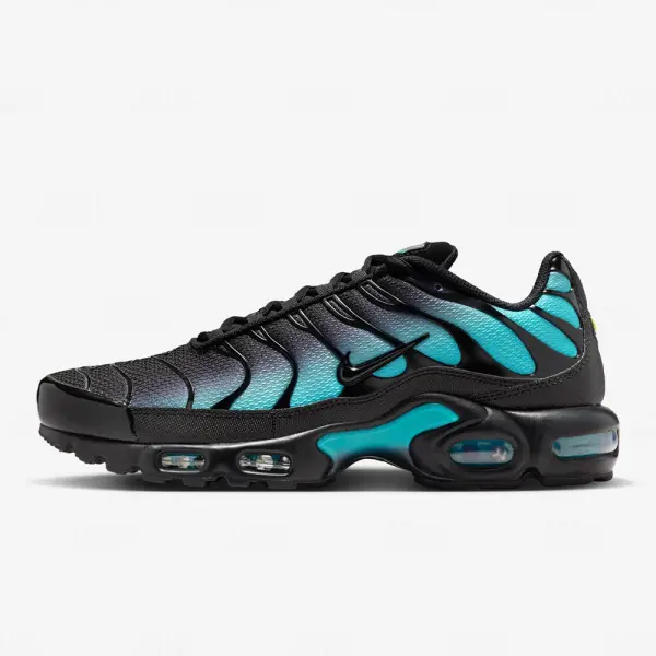 Nike Varon Air Max Plus Black Dusty Cactus (DM0032-016)