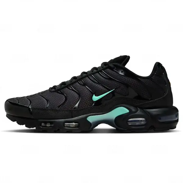 Nike Varon Air Max TN Plus Black Mint Green (DM0032-029)