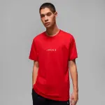 Polo Varon Jordan Air Logo (DM3182-687)
