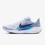 Nike Varon Pegasus 41 (FD2722-014)
