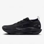 Nike Varon Pegasus Trail 5 GORE-TEX (FQ0908-002)
