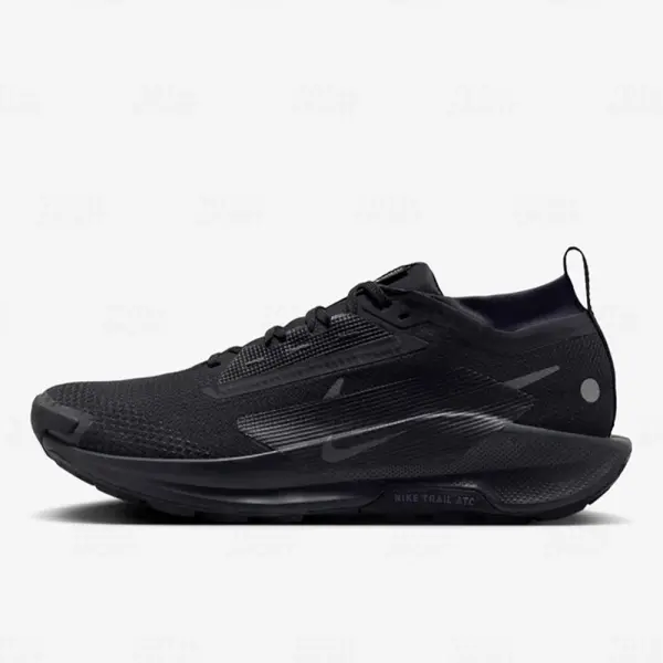 Nike Varon Pegasus Trail 5 GORE-TEX (FQ0908-002)