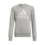 Polera Nina Adidas Essentials Sweatshirt Hm8706 Producto en Trainer Sport Tcq - HM8706